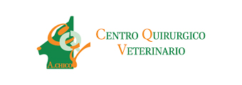Centro Quirúrgico Veterinario - Prácticas de Formación en A Coruña y Vigo